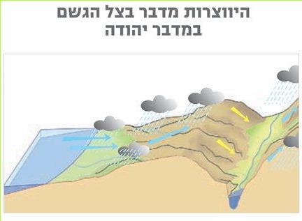 היווצרות מדבר בצל הגשם במדבר יהודה